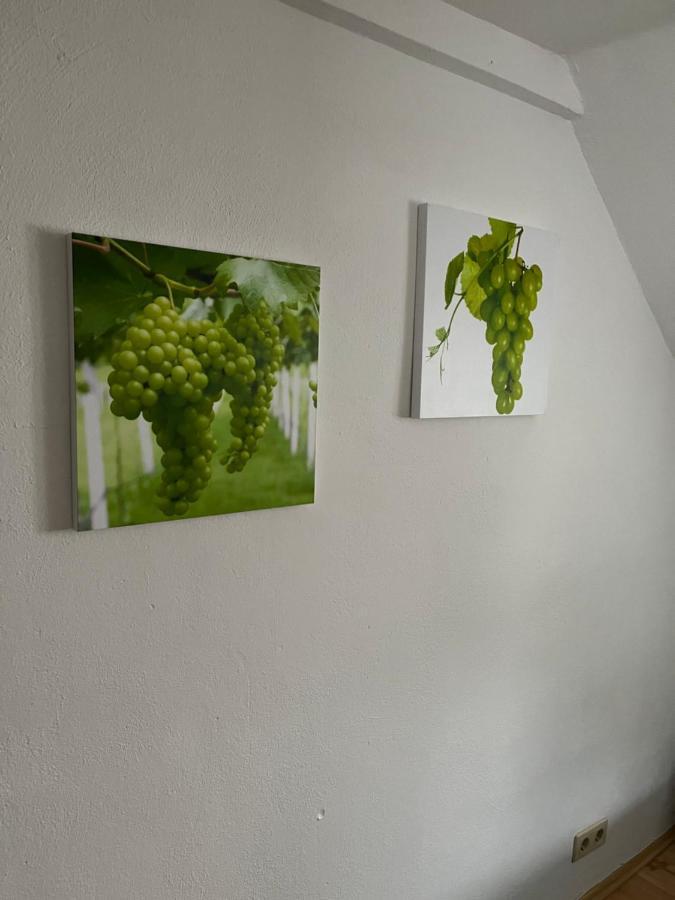 Haus Mika Villa Cochem Eksteriør bilde
